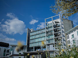 南海国际学院
